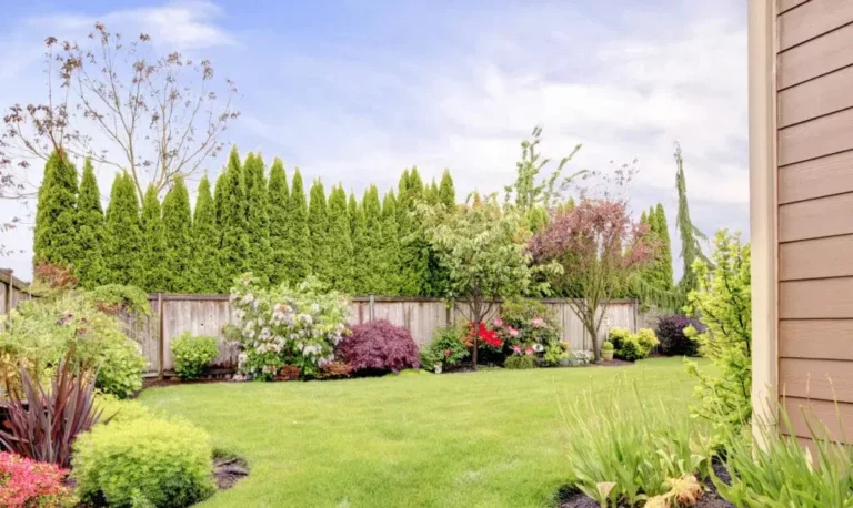 Landscaping-iStock-498015683.0-1024x768.jpg